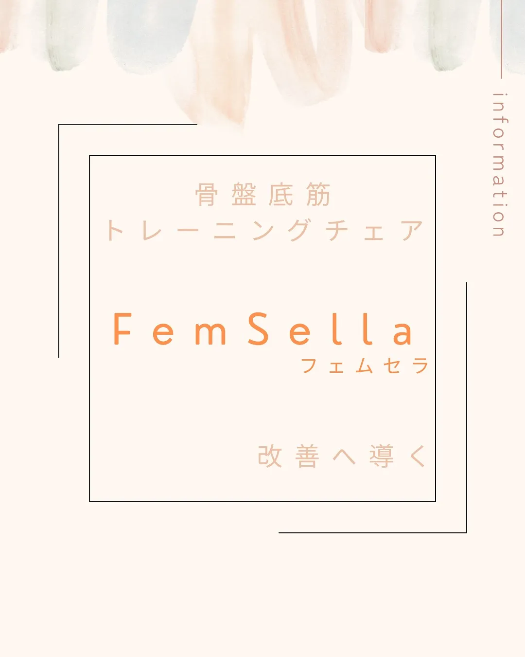 ✨フェムセラ✨